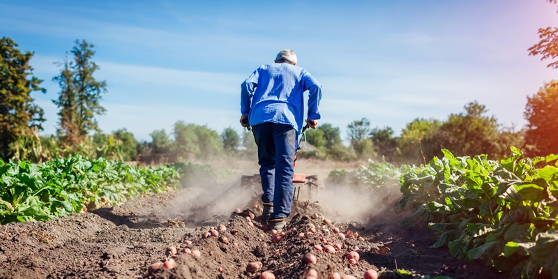 ZİRAİ İLAÇ UYGULAMA EĞİTİMLERİ BAŞLIYOR