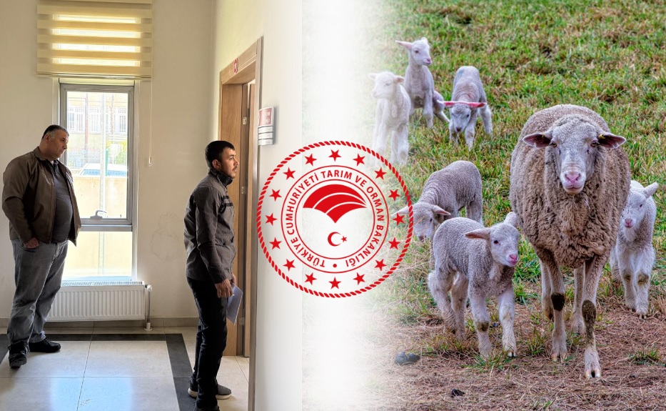 KIRSALDA BEREKET PROJESİNE YOĞUN İLGİ